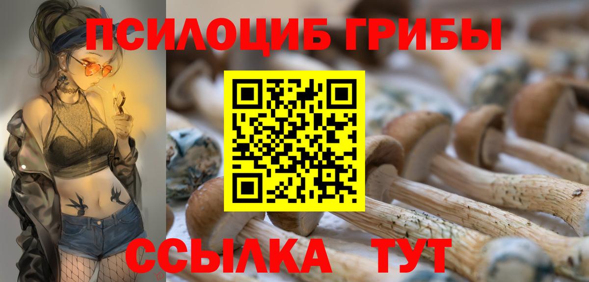 Ревда  Псилоцибиновые грибы мухоморы  Вход с VPN 