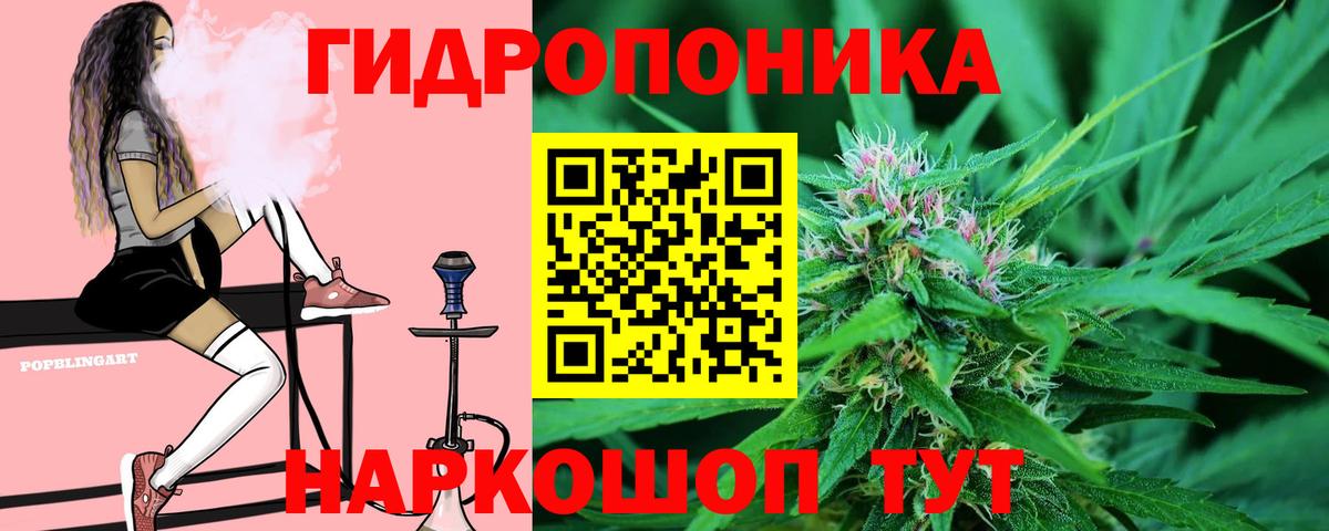 Каннабис White Widow  Вход с VPN  Канабис план  Ревда 